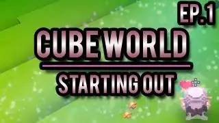 STARTING OUT | Cube World #1