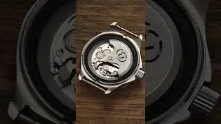 This $100 Watch Has A Cult-Like Following: Vostok Amphibia