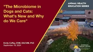 The Microbiome in Dogs and Cats: What's New and Why do We Care