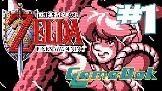 Kohdok Plays Link's Awakening! (Part 1) - Pink's Awakening