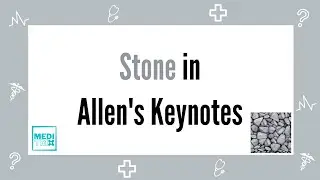 Stone in Allen's Keynotes Homoeopathy