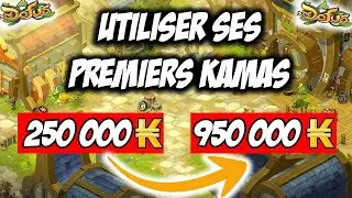 QUE FAIRE DE SES PREMIERS KAMAS SUR DOFUS ?