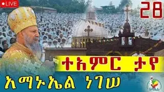🔴Live ቀጥታ ከመሳለሚያ ቅዱስ አማኑኤል ካቴድራል//በዓለ ንግስ