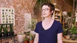 Shopping Genius - Downtown Iowa City Shops