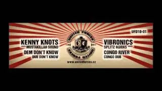 Vibronics meets Splitz Horns - Congo River & Congo Dub (UFD10-01)