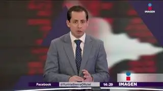 Hay un gran mercado para los productores mexicanos