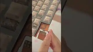 QK75N Мяу-розовый 💗