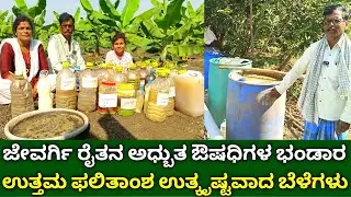 ಜೇವರ್ಗಿ ರೈತನ ಅಧ್ಬುತ ಔಷಧಿಗಳ ಭಂಡಾರ | organic fertilizer in kannada | bio pesticides & bio insecticides