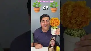 Got a chocolate flower pot‼️@itsbrothersvlog