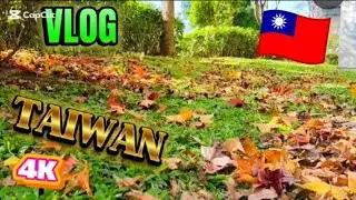 ТАЙВАНЬ 🇹🇼 ВИДЕОБЛОГ О ПРИРОДЕ #путешествия #вирусноевидео #вирусный #влог