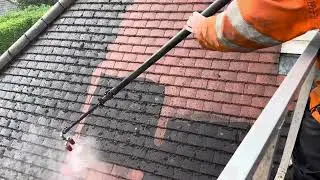 Moss removal services Warrington