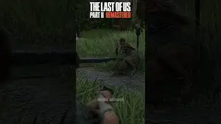 IF YOU SHOOT NPCS LEG IN GTA AND THE LAST OF US GAMES