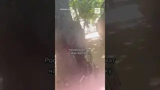 Дипломат из России напал на девушку #shorts