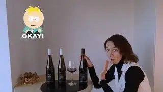 Tasting Vinum Nobile Winery's Alibernet Red Wine: Our Honest Review, Part II, Slovakia
