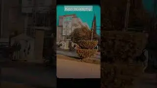 Kips academy #shorts #youtubeshorts