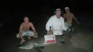 3rd Shorebound Shark Tourney Aug 15-Aug 31 Catch and Release