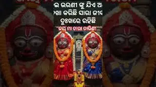 Tara tarini 🌺#shorts #trendingshorts #viralshorts #highlights #odia #taratarini #odiasong #viral
