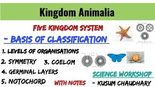 Kingdom Animalia: Basis of Classification | Diversity of Life|  Science Workshop|| Kusum Chaudhary