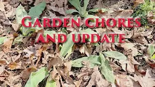 Pulling Weeds | Planting Mullein | New Journey