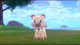 Pokemon Sword and Shield - How to Catch Rockruff