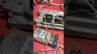 Honda Reborn Japan Convert Two Pakistan Program ECU