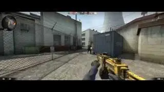 CSGO - Tryhard