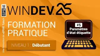Formation Windev 25 - niveau 1 : D&eacute;butant - Ep#5 Param&egrave;tres d'&eacute;tat &eacute;tiquette