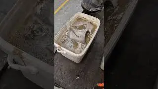 Prop Clean City