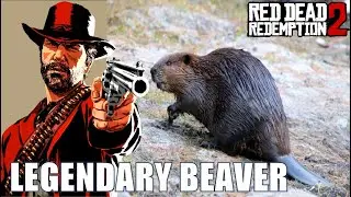 Red Dead Redemption 2 Walkthrough | Guide Hunt Legendary Animal Beaver | Hải Ly Huyền Thoại