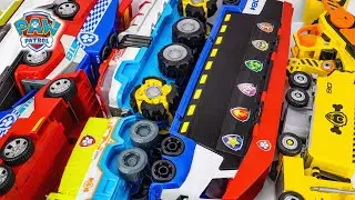 Unboxing Exclusive Paw Patrol Toys Collection | Paw Patrol Dino Patroller Toy | Big Transport Trucks