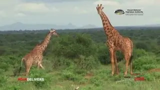 Documentary on the Multinational Mwatate - Taveta Road