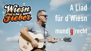Wiesnfieber (Radio Edit) &ndash; Wiesnhit 2025