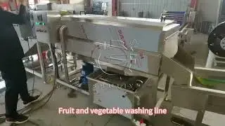 Automatic tomato washing and sorting processing line