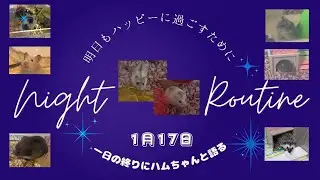 １日の終りにハムちゃんと語る〜2026年1月17日