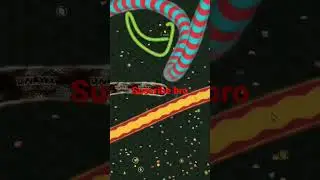 zoom en wormate.io jacks