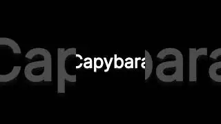 Top 5 Capybara