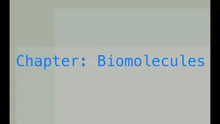 Biomolecules (introduction, carbohydrates and structure of glucose)