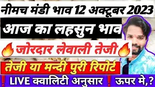 Neemuch mandi aaj ka Lahsun bhav, Today Garlic Rate, Lahsun ka bhav Neemuch Mandsaur mandi today