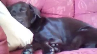 Mads dreaming