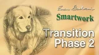 Smartwork Transition Phase 2: Improve Your Dog&rsquo;s Water Blinds