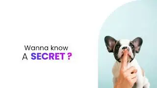 Wanna know a secret about CopperTouch?