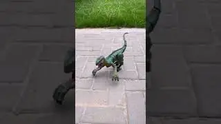 Dinosaurs toys set 恐龙
