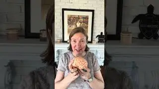 Got ADHD? You don&rsquo;t need more motivation #brainhealth #adhd #adhdsupport