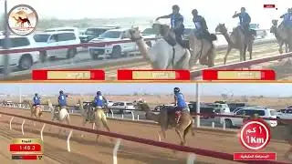 الشوط 6 ( السباق التراثي )باكستان لـ احسن ياسين 3:47:44( مهرجان صاحب السمو الشيخ محمد بن زايد 2025 )