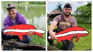 Carp fishing without a fishing licence in Austria