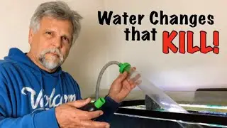 Water Changes and Tank Stability - (Filter Media Makers are Going to Hate Me!)