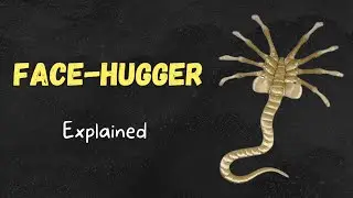 Face Hugger - Explained (История пришельцев)