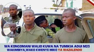 WA KONGOMANI WALIO KUWA NA TUMIKA NA M23 WAKIMBIYA, WAKO KWENYE MIKONO YA WAZALENDO NA FARDC 