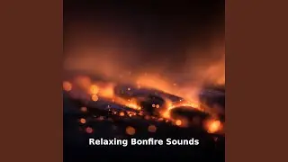 Relaxing Bonfire Fire Sounds, Pt.10
