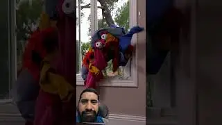 #laundrylife #prank #funny #comedy